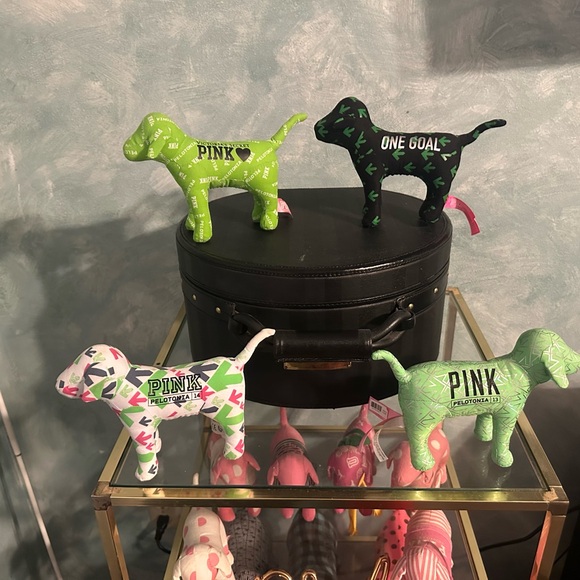 PINK Victoria's Secret Other - Pelotonia dogs